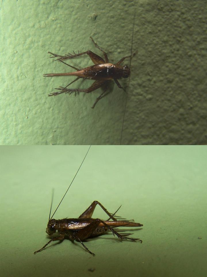 FIGURE 3 FIGURE 3